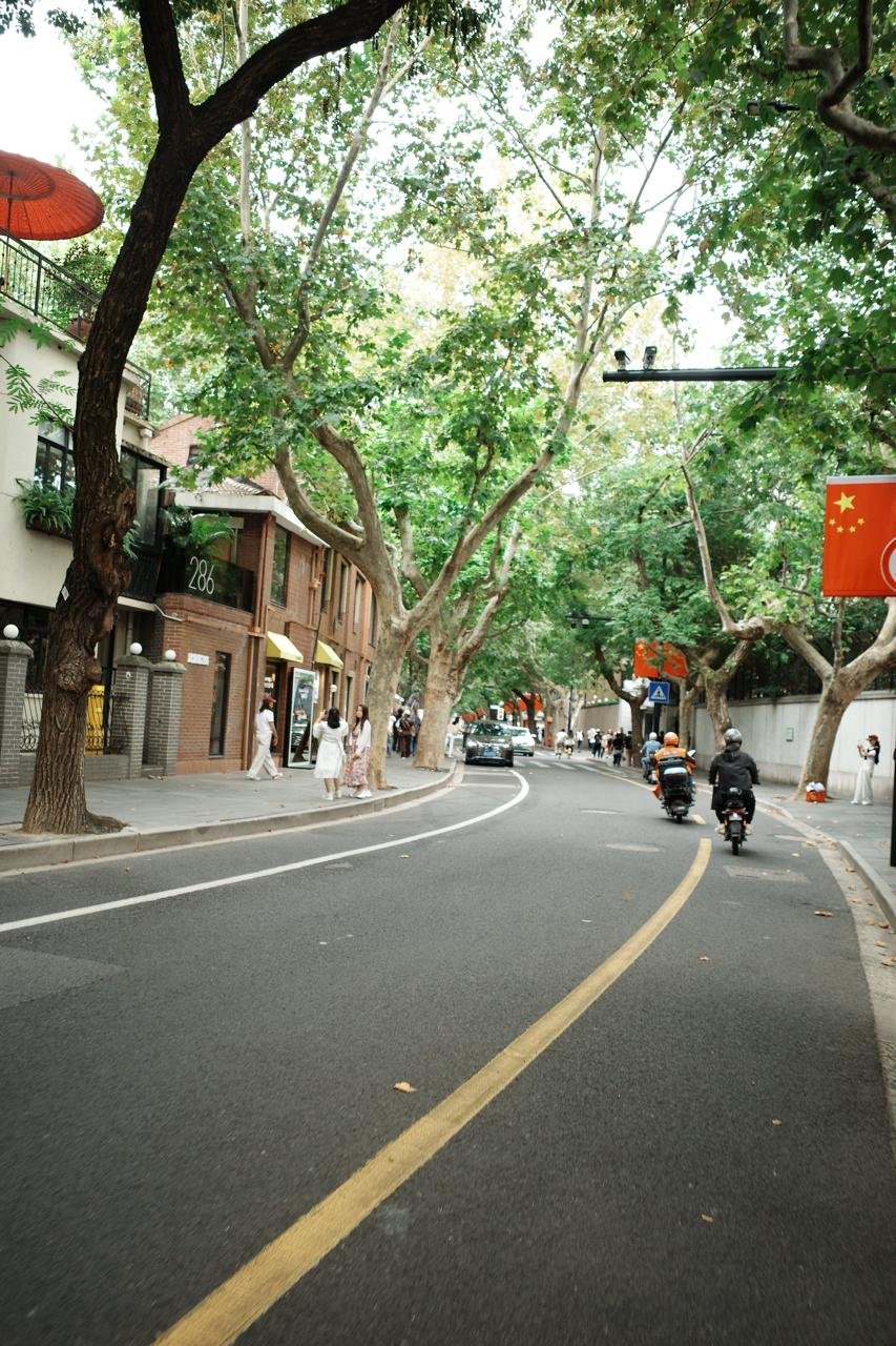 A tree lined Shanghai street along the Wheely bike tour route