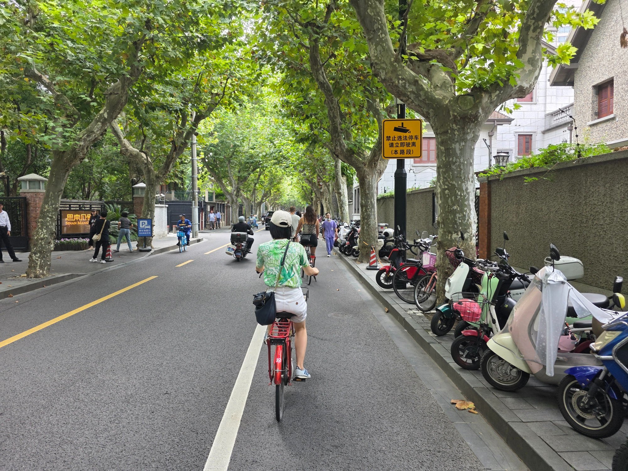 A cyclist riding down a plane tree lined street in Shanghai